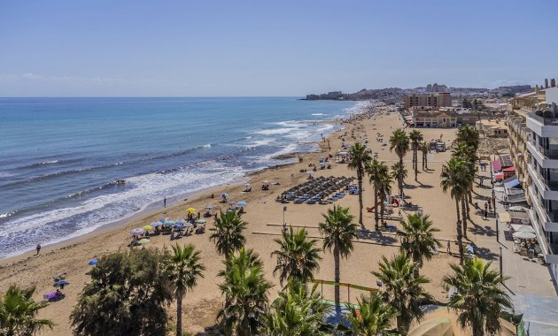 Apartment - New Build - La Mata - La Mata