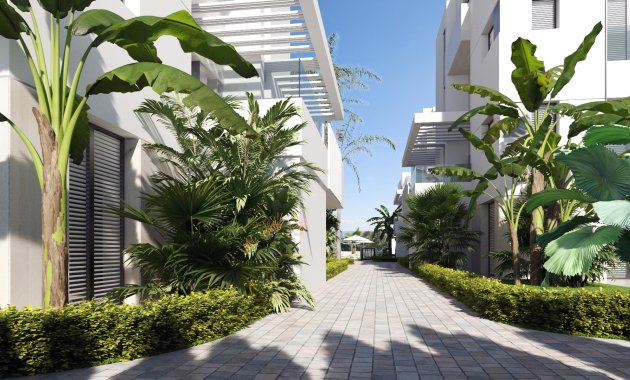 Appartement - Nieuwbouw Woningen - Torre-Pacheco - Torre-Pacheco