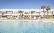 Bungalow - Neue Gebäude -
            Torrevieja - RG-87716