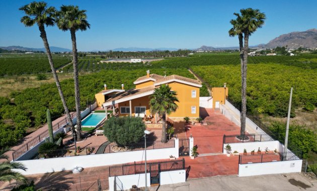 Finca   - Herverkoop - Orihuela -
                Orihuela