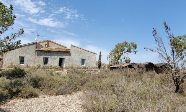 Finca   - Herverkoop - Torremendo - Torremendo