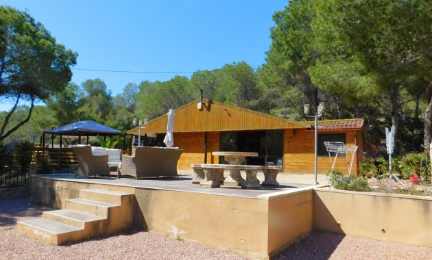Finca   - Herverkoop - Torremendo -
                Torremendo