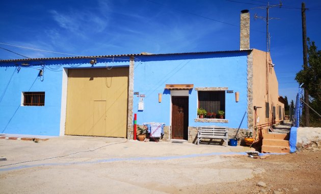 Finca   - Resale - Los Montesinos - Los Montesinos