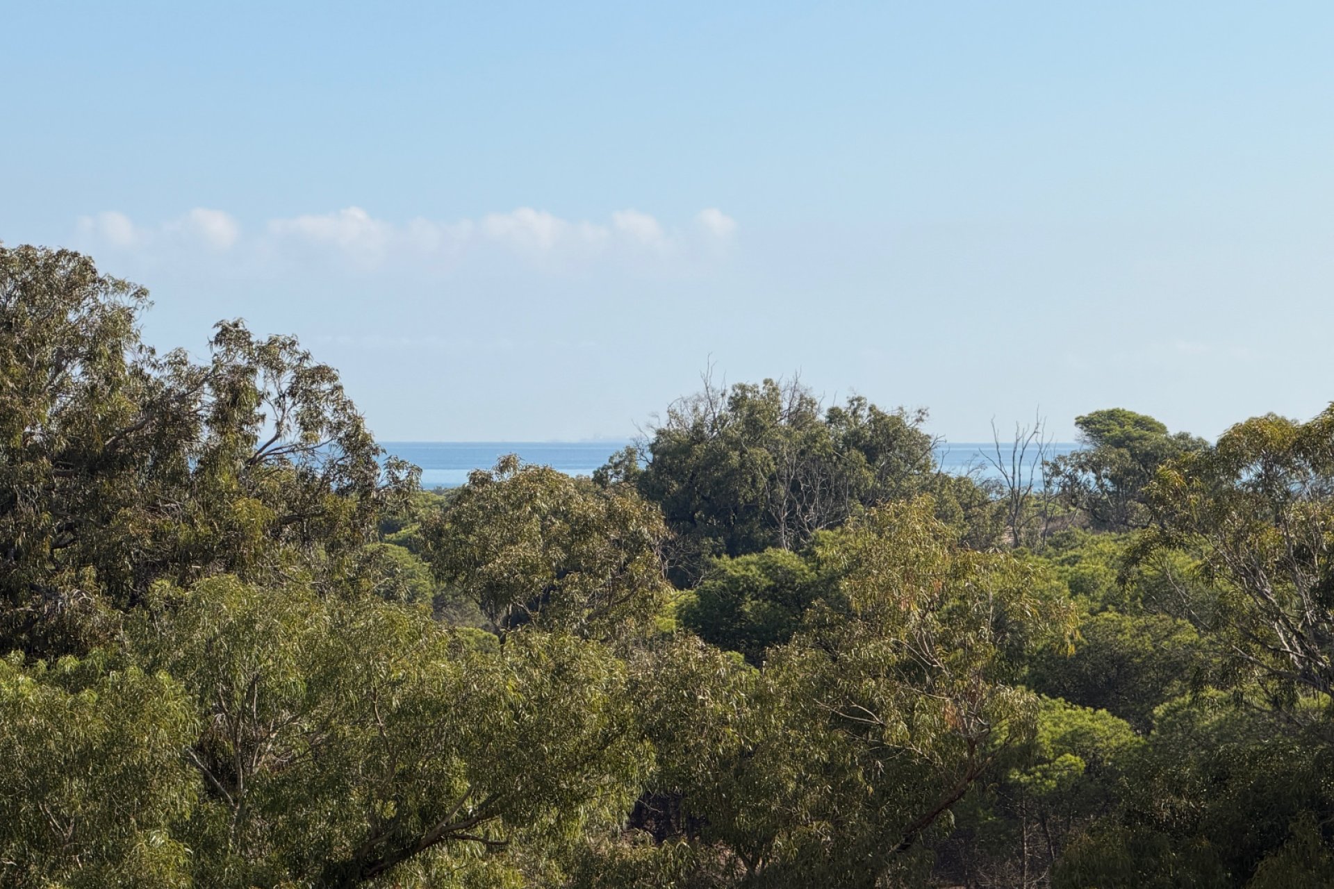 Herverkoop - Appartement -
Guardamar del Segura - Puerto