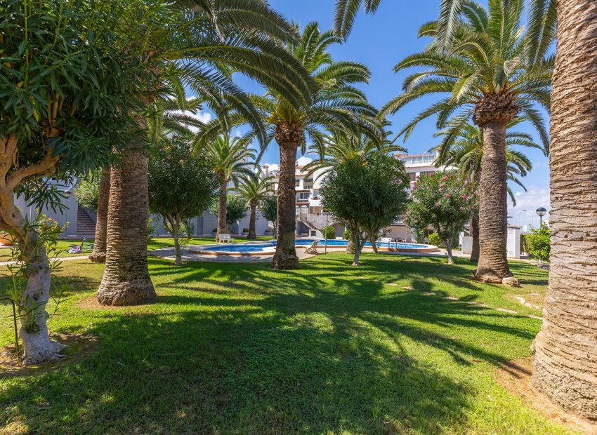 Herverkoop - Appartement -
La Mata