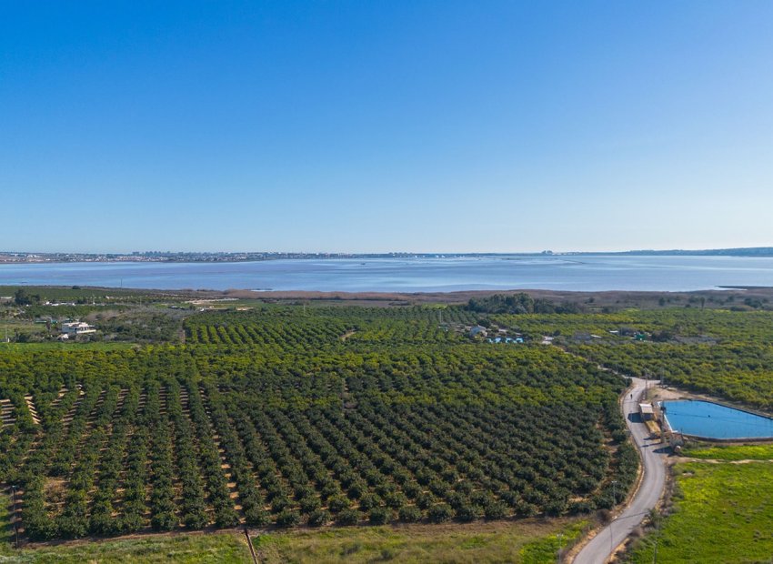 Herverkoop - Appartement -
Los Montesinos