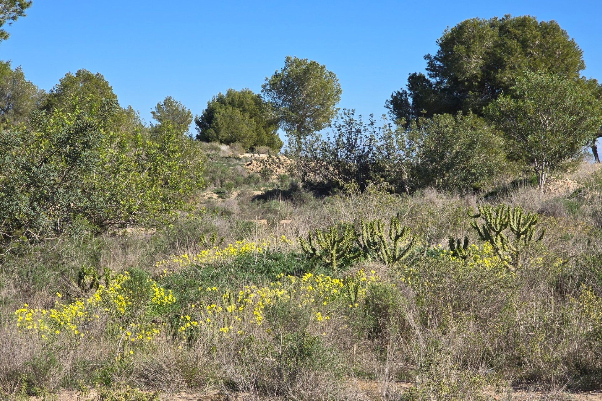 Herverkoop - Appartement -
Orihuela Costa - Villamartin