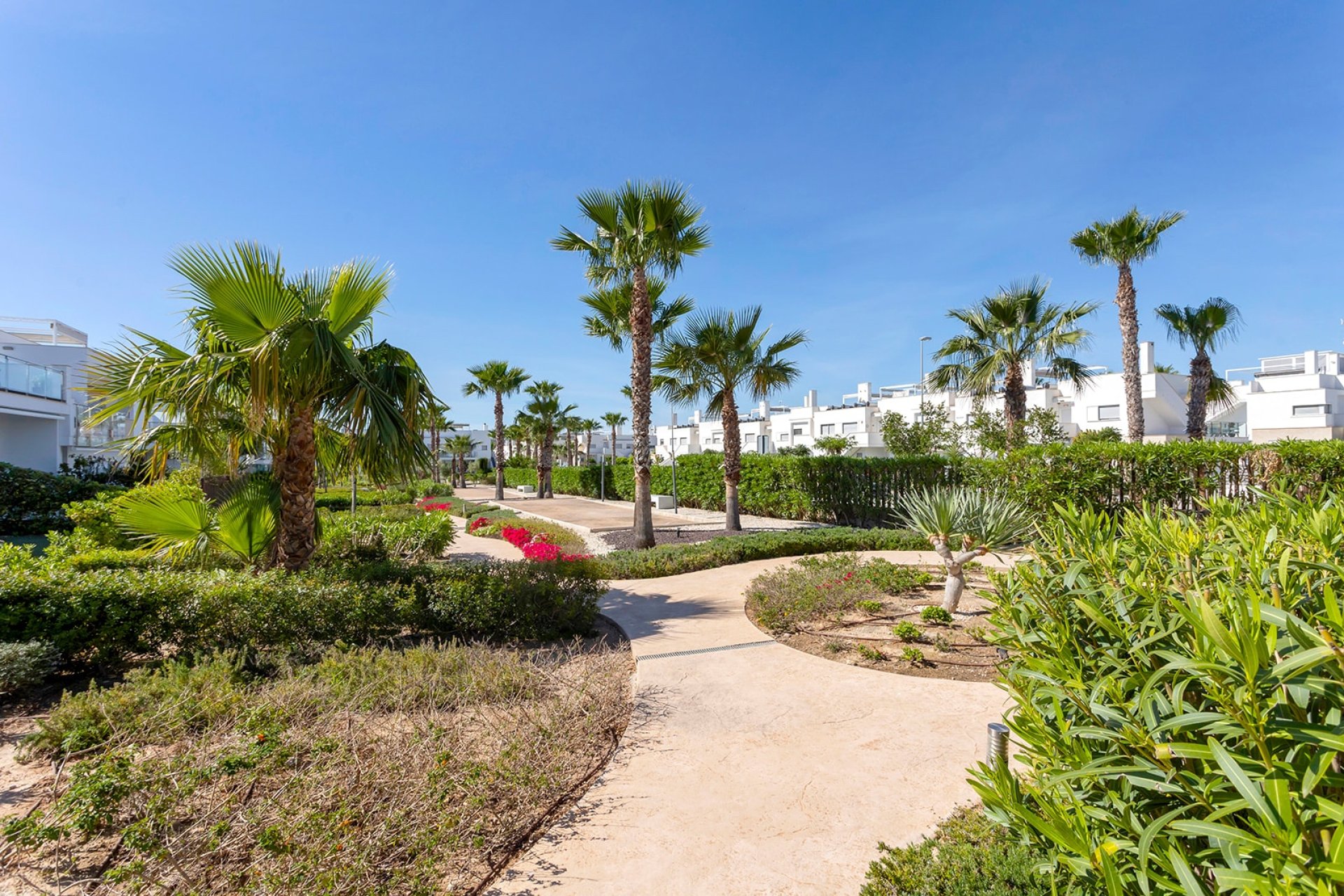Herverkoop - Appartement -
Orihuela - Vistabella Golf