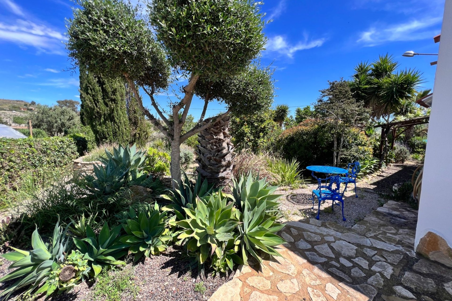 Herverkoop - Finca   -
Cartagena