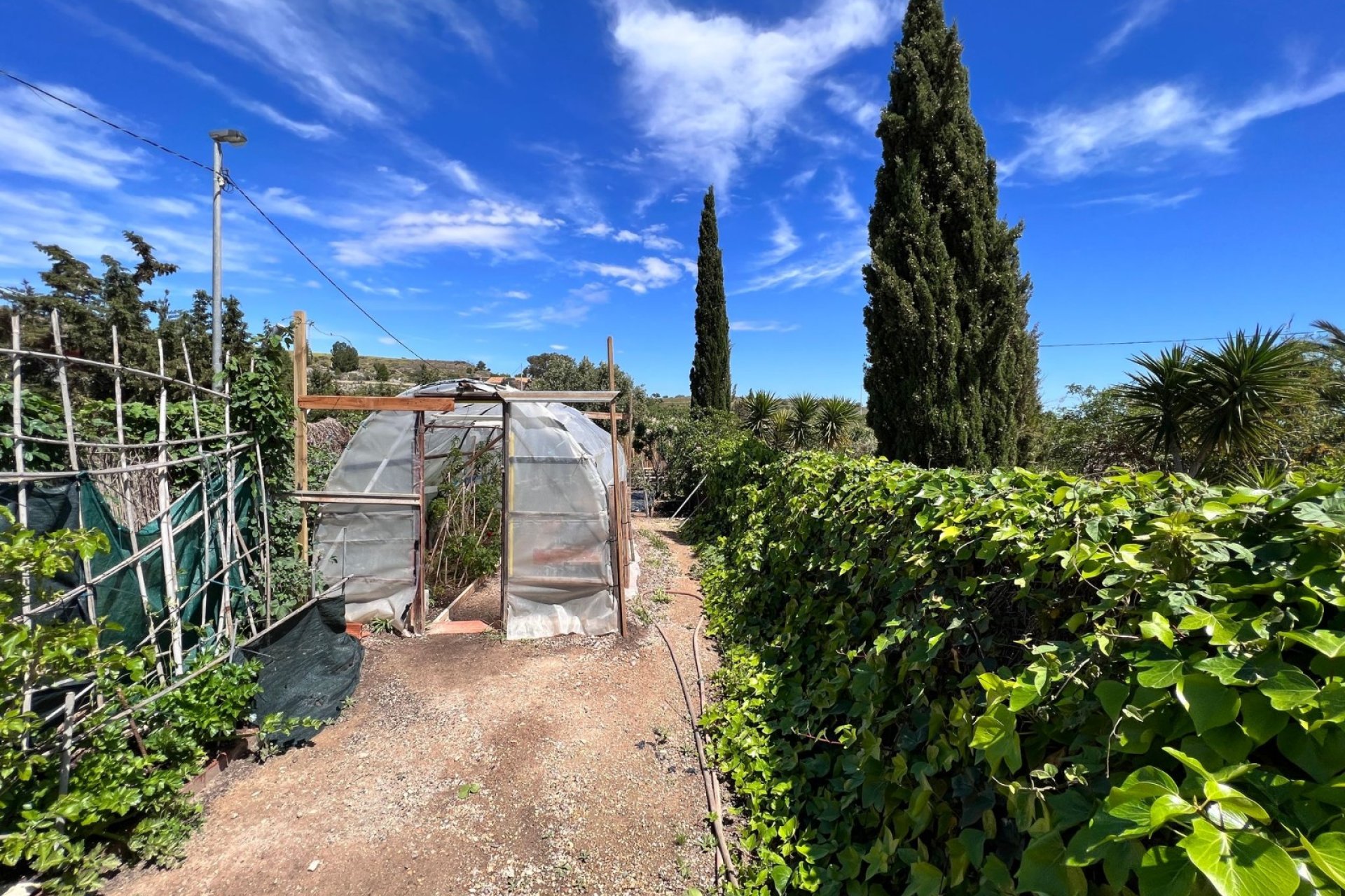 Herverkoop - Finca   -
Cartagena