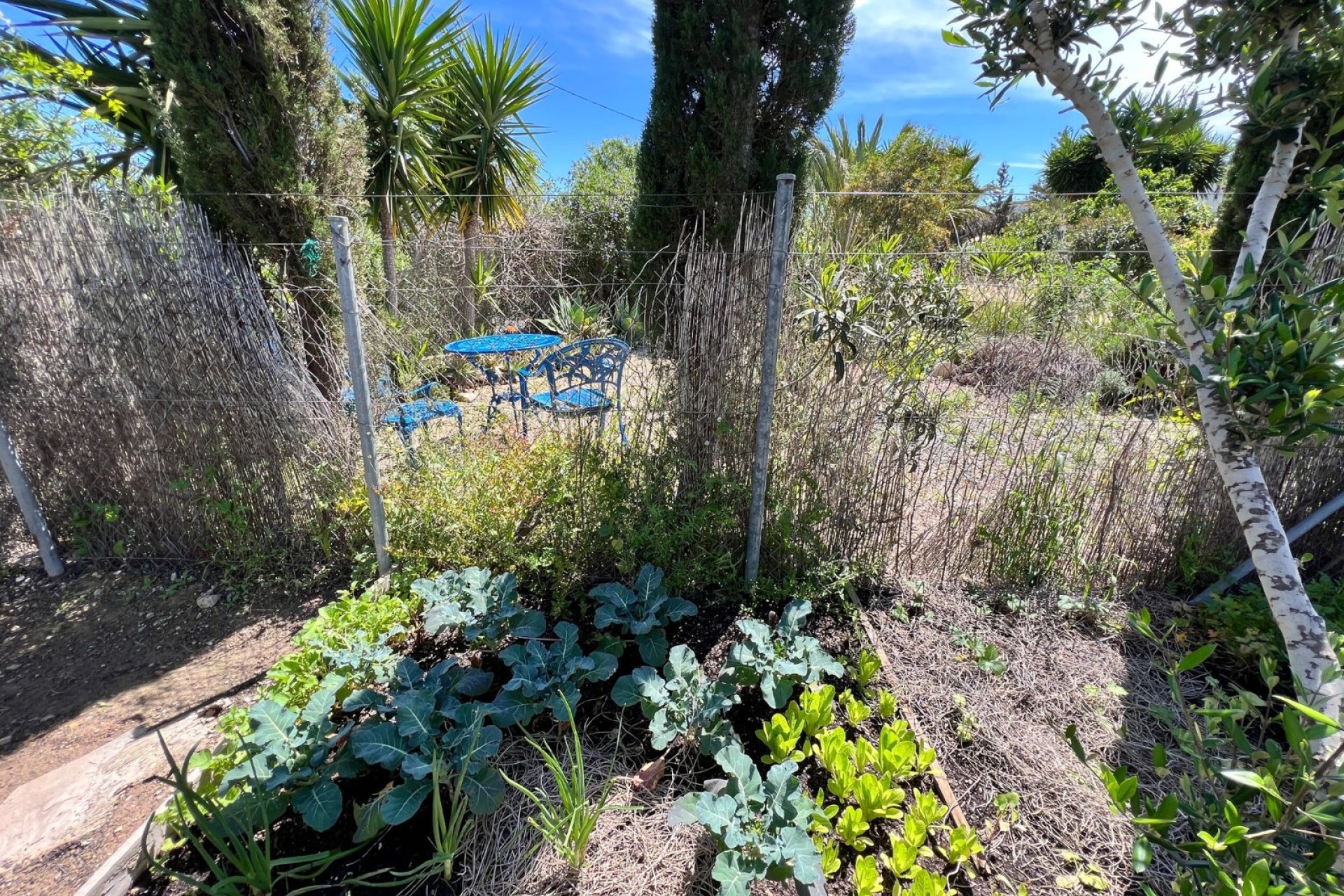 Herverkoop - Finca   -
Cartagena