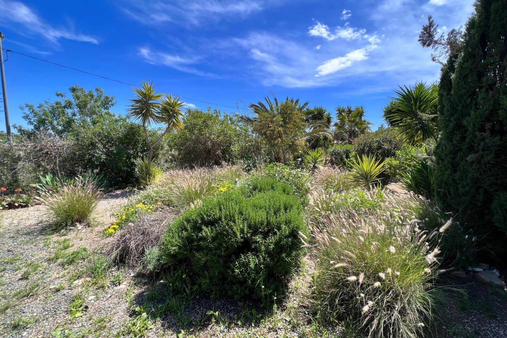 Herverkoop - Finca   -
Cartagena