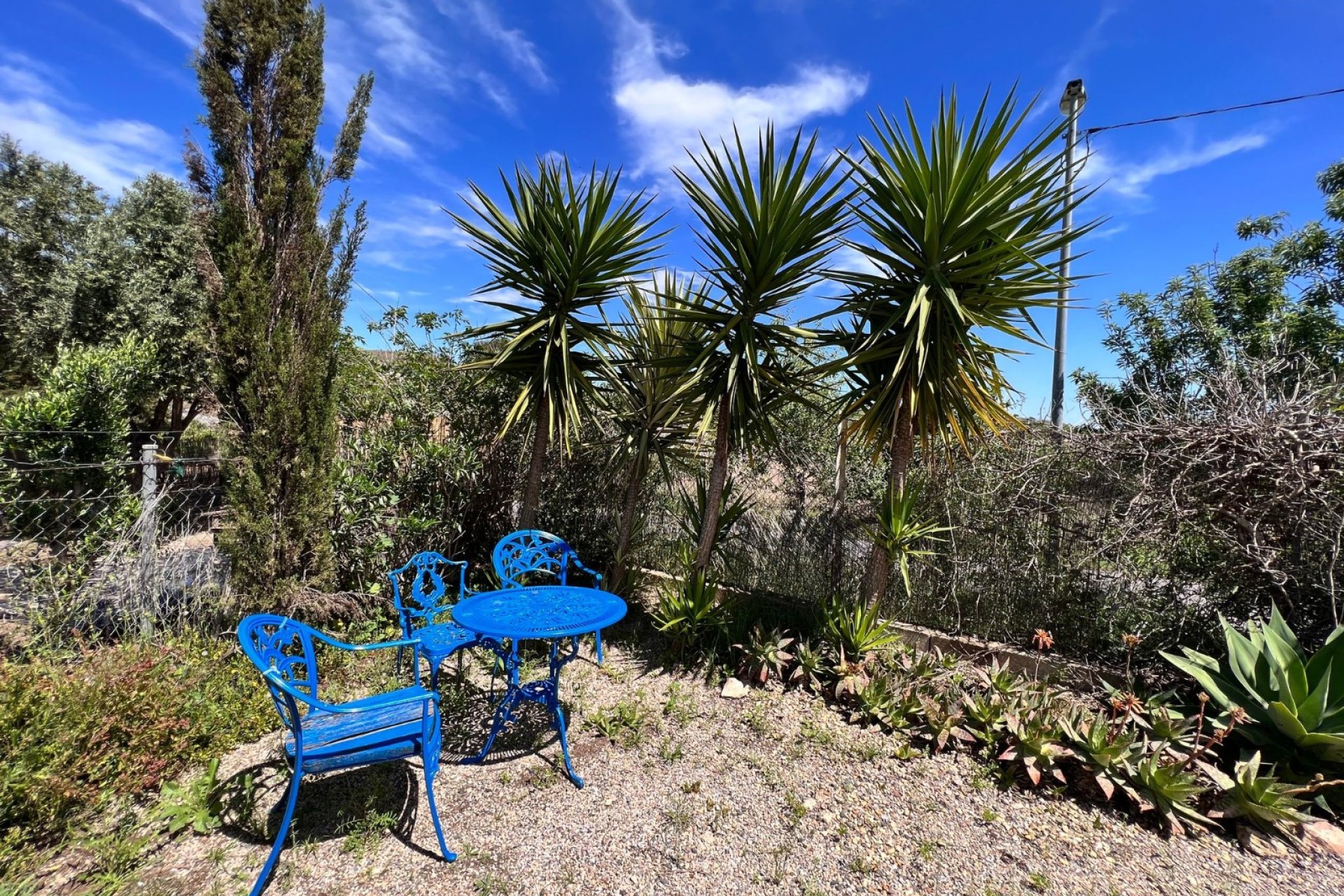 Herverkoop - Finca   -
Cartagena