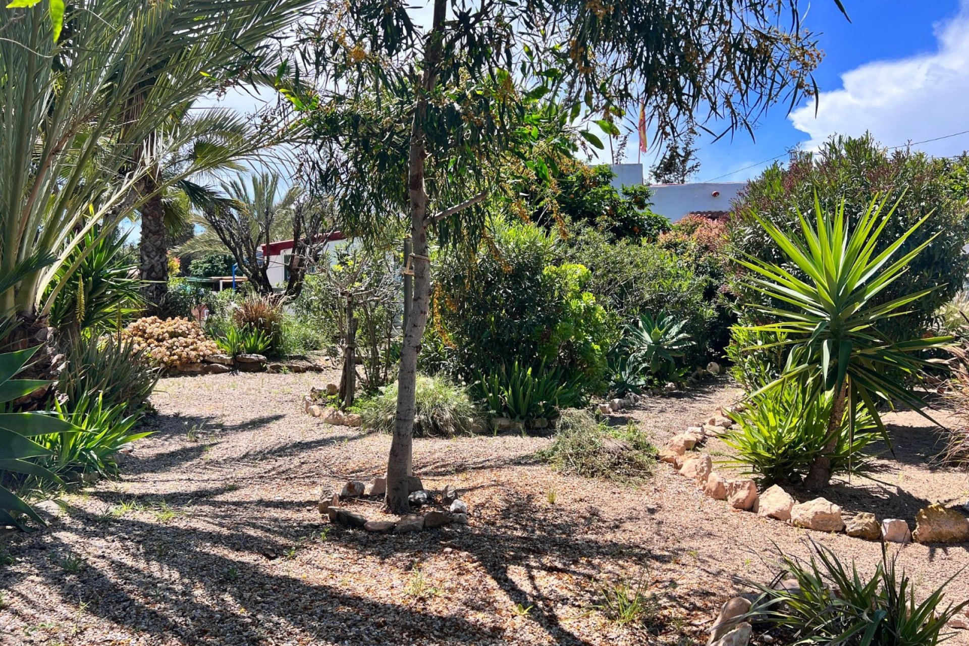 Herverkoop - Finca   -
Cartagena