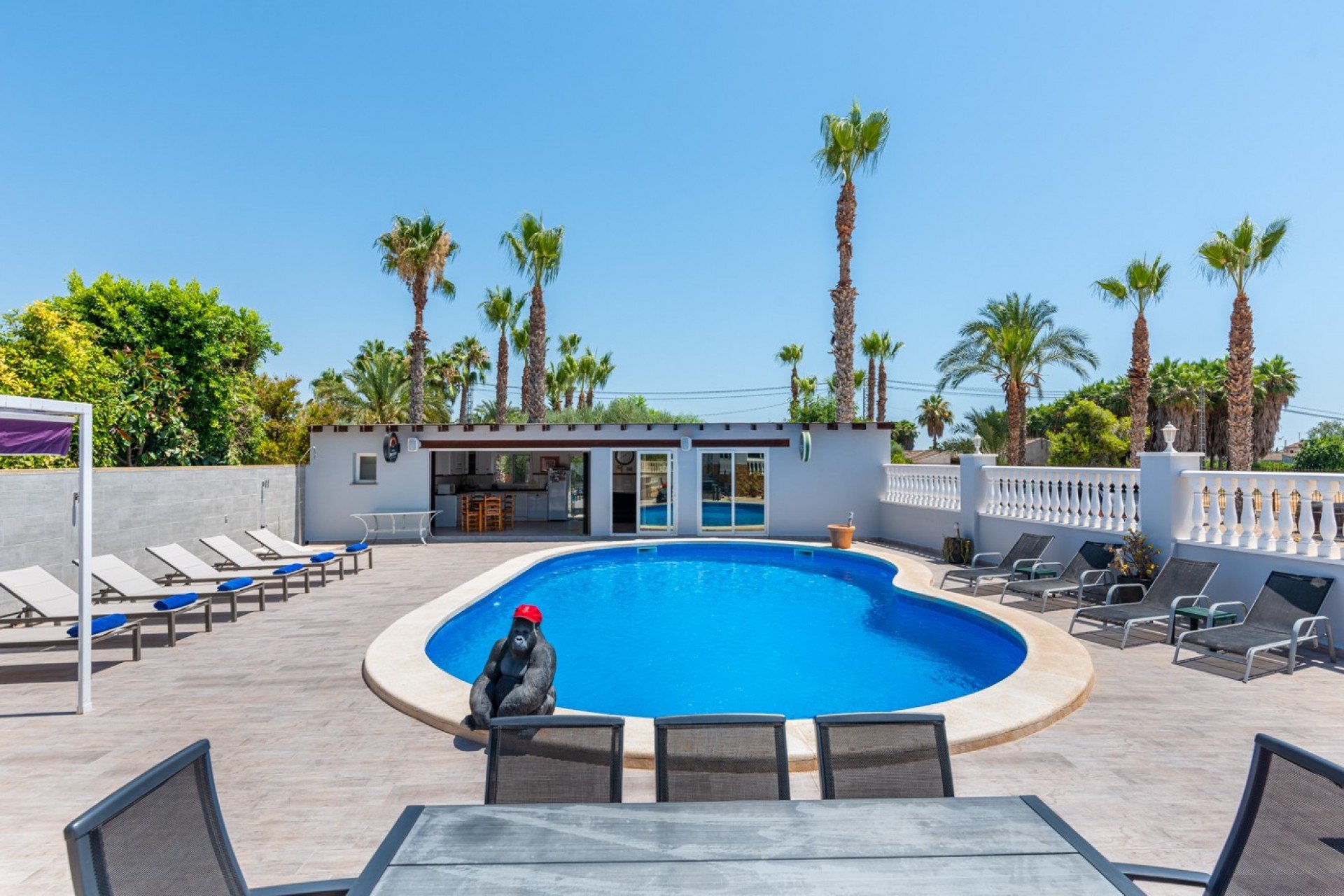 Herverkoop - Finca   -
Catral