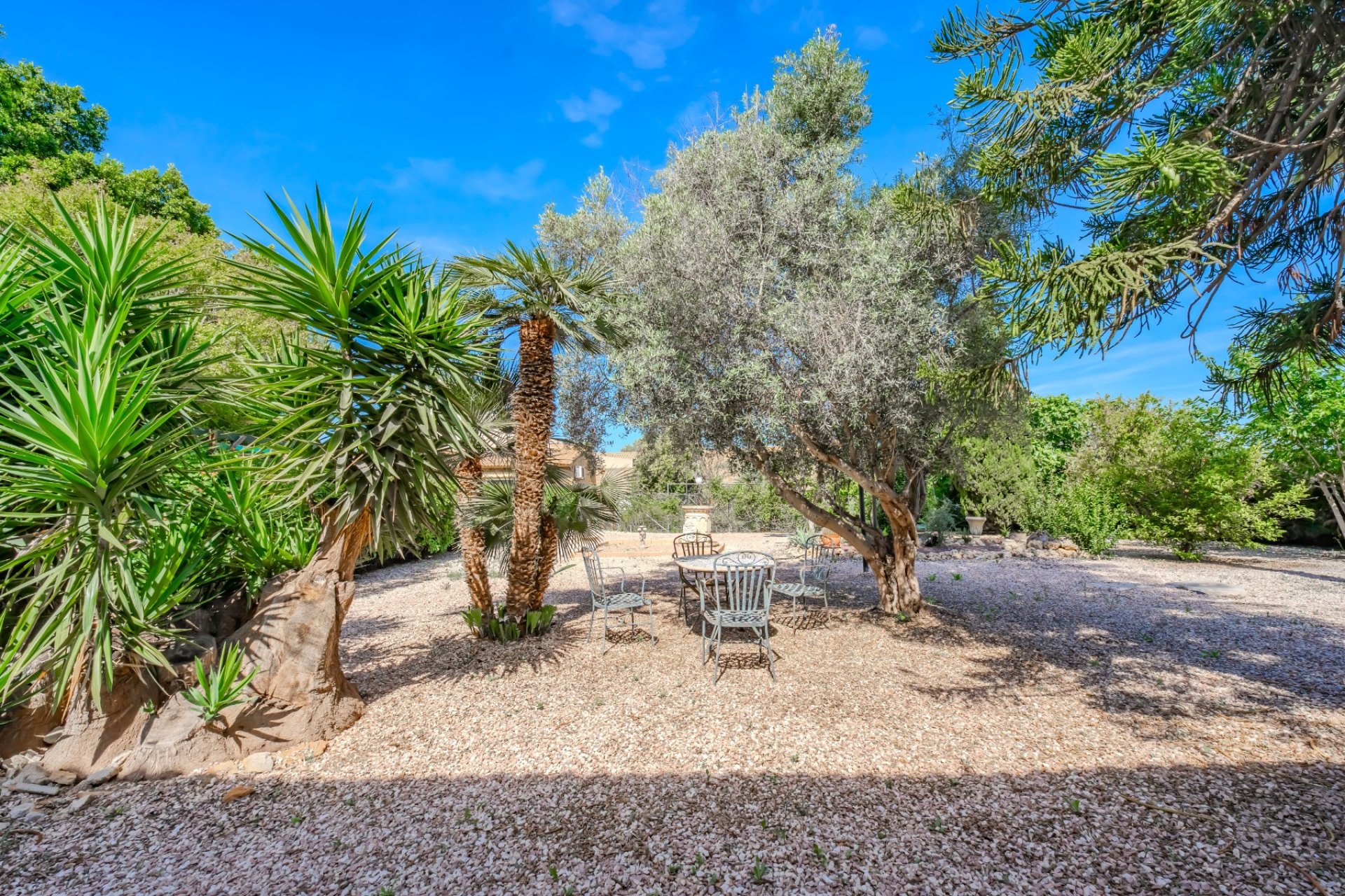 Herverkoop - Finca   -
Ciudad Quesada - Rojales - Rojales
