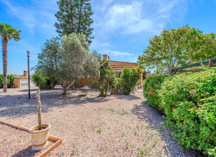 Herverkoop - Finca   -
Ciudad Quesada - Rojales - Rojales