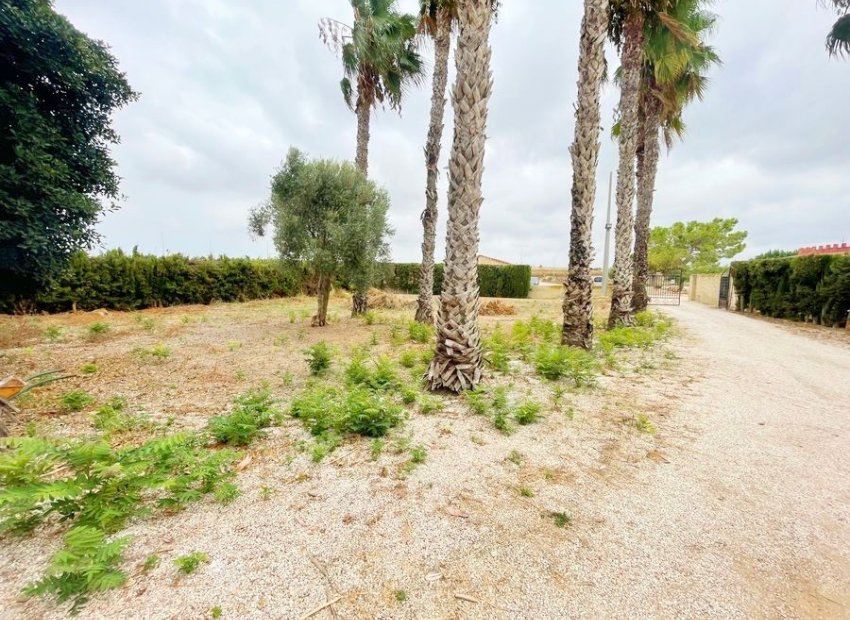 Herverkoop - Finca   -
Daya Vieja