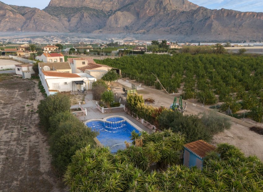 Herverkoop - Finca   -
Orihuela