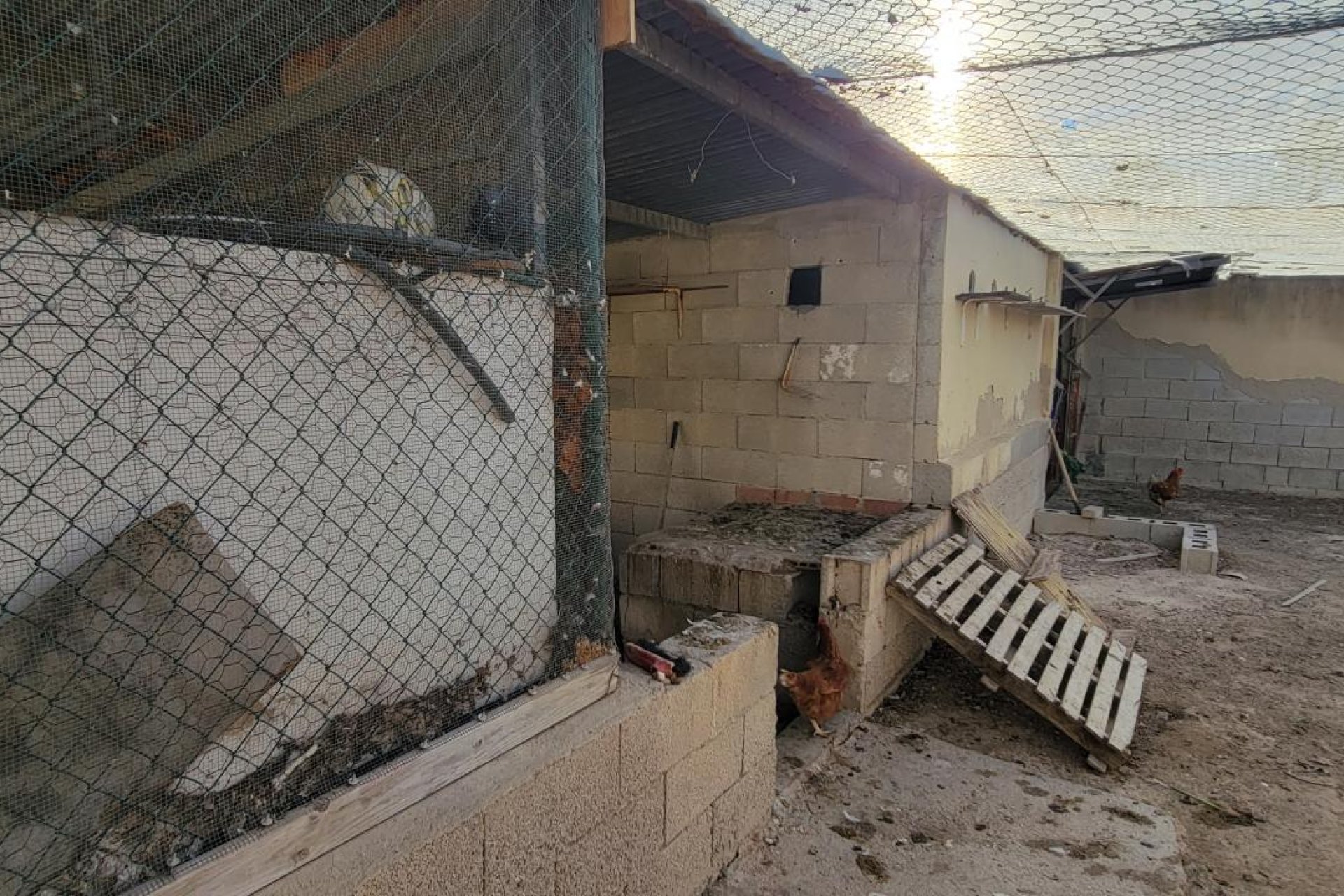 Herverkoop - Finca   -
San Miguel de Salinas