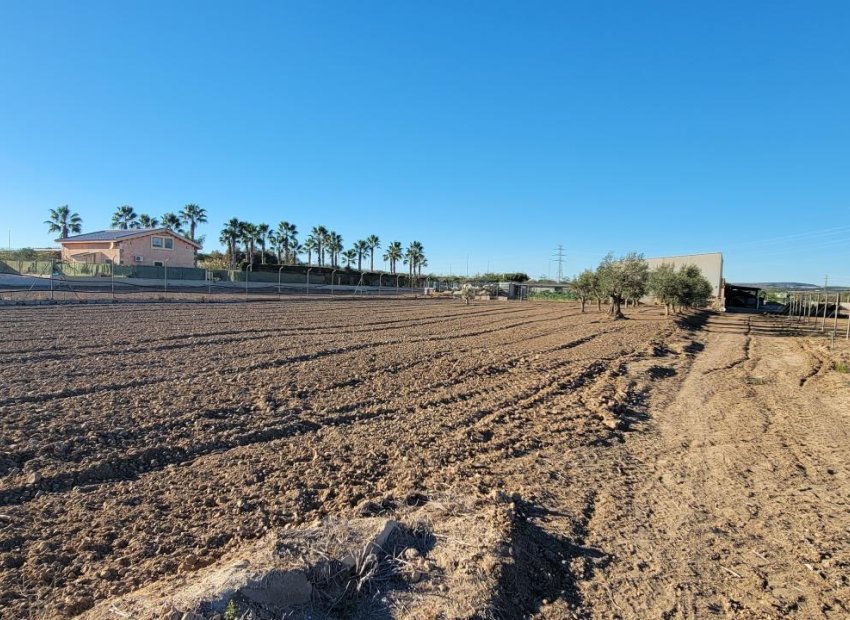 Herverkoop - Finca   -
San Miguel de Salinas