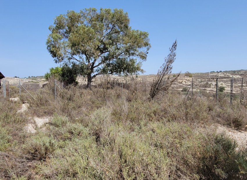 Herverkoop - Finca   -
Torremendo