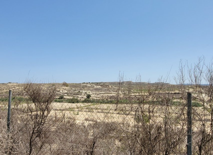 Herverkoop - Finca   -
Torremendo