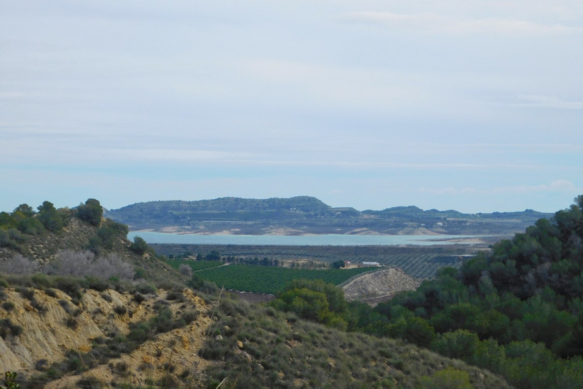 Herverkoop - Finca   -
Torremendo