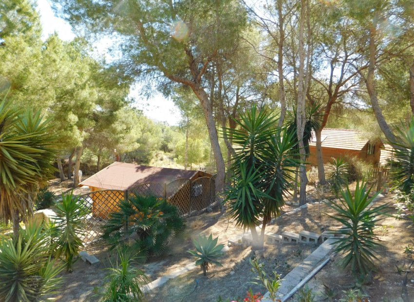 Herverkoop - Finca   -
Torremendo