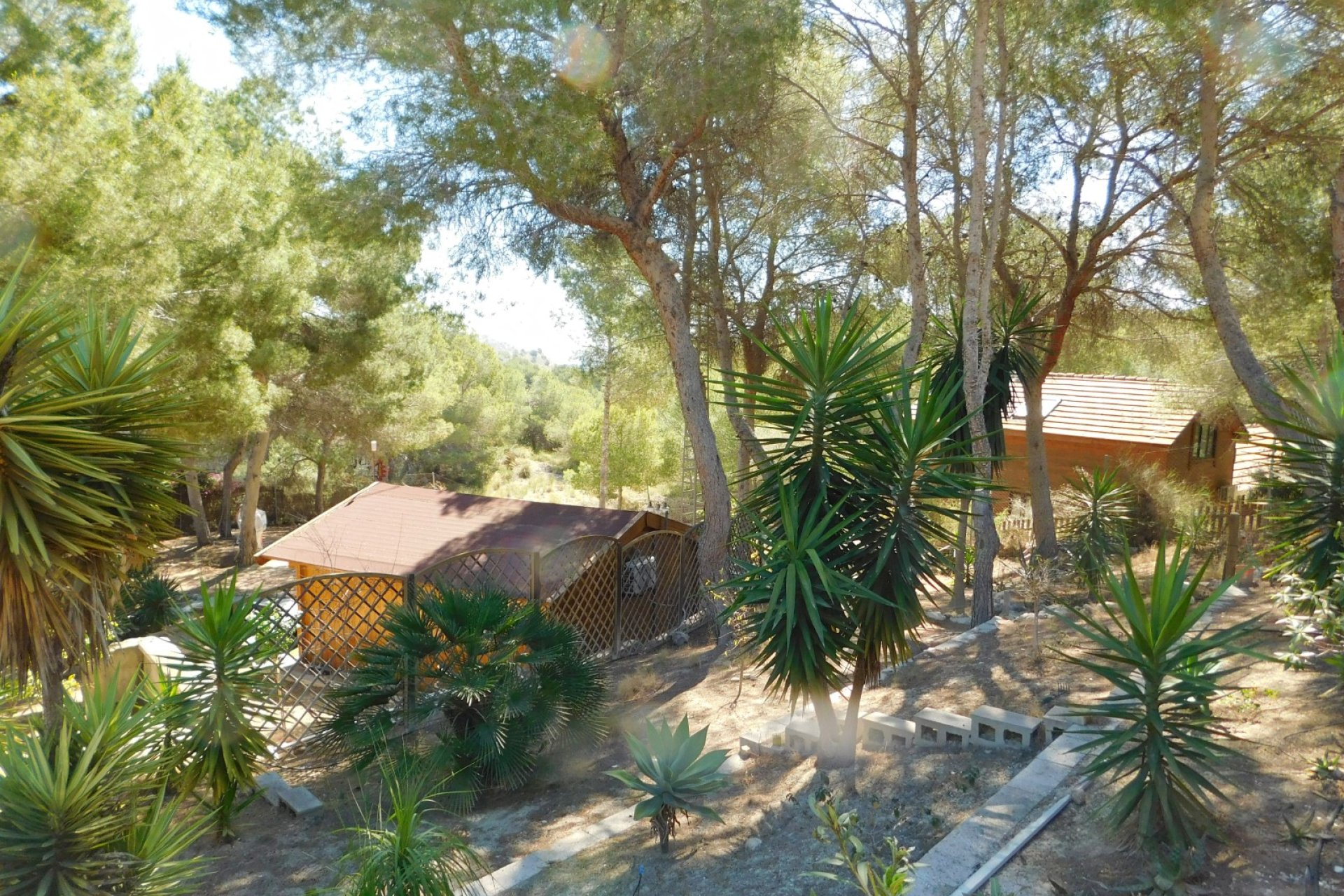 Herverkoop - Finca   -
Torremendo