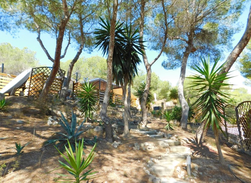 Herverkoop - Finca   -
Torremendo