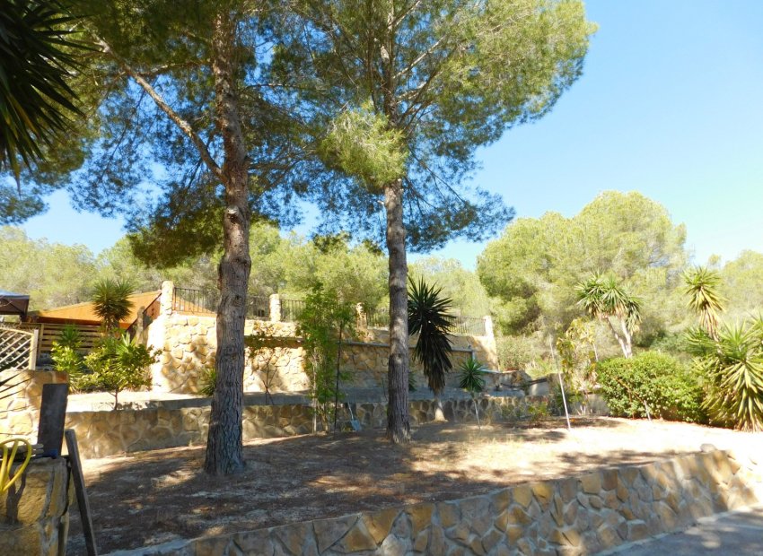 Herverkoop - Finca   -
Torremendo