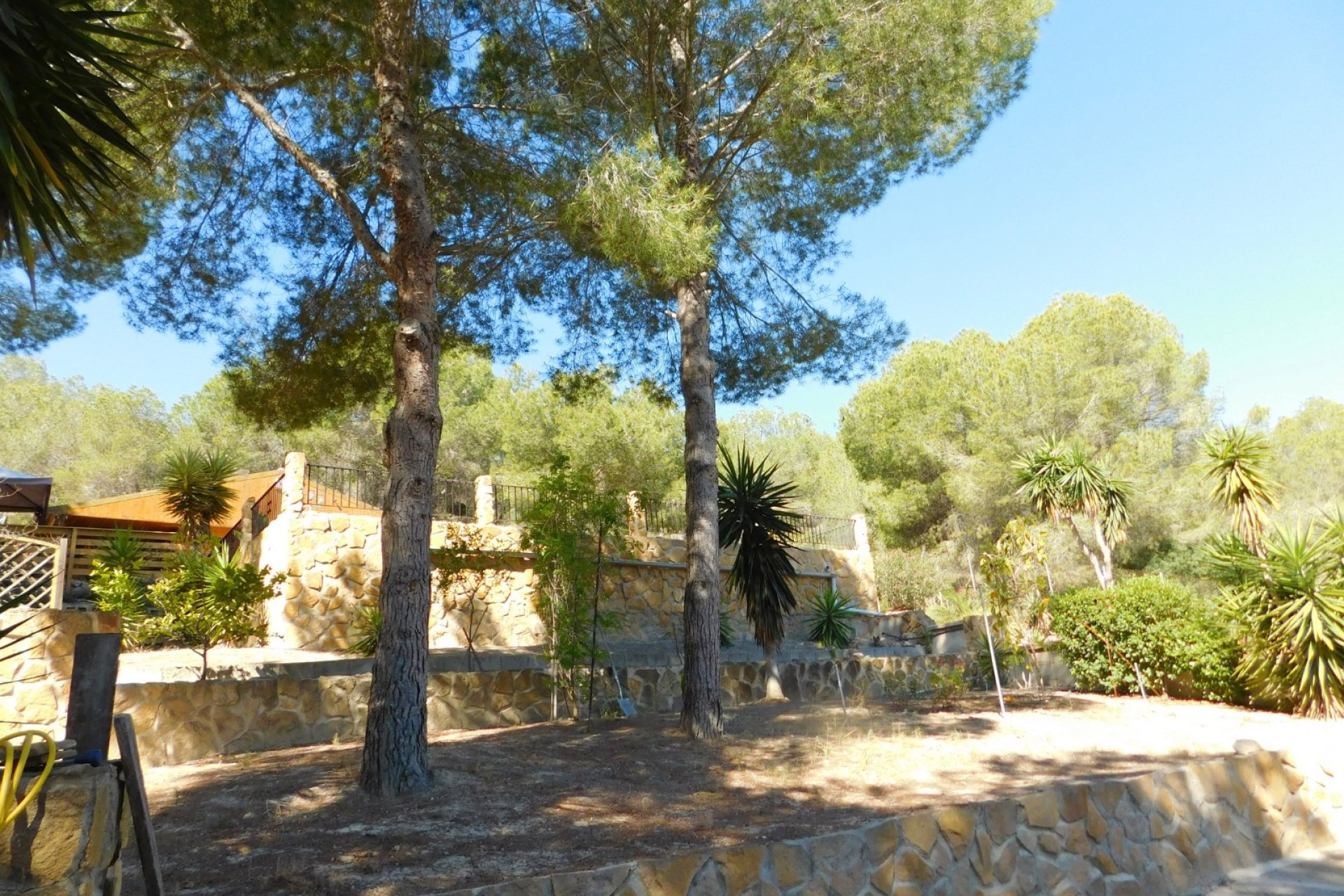 Herverkoop - Finca   -
Torremendo