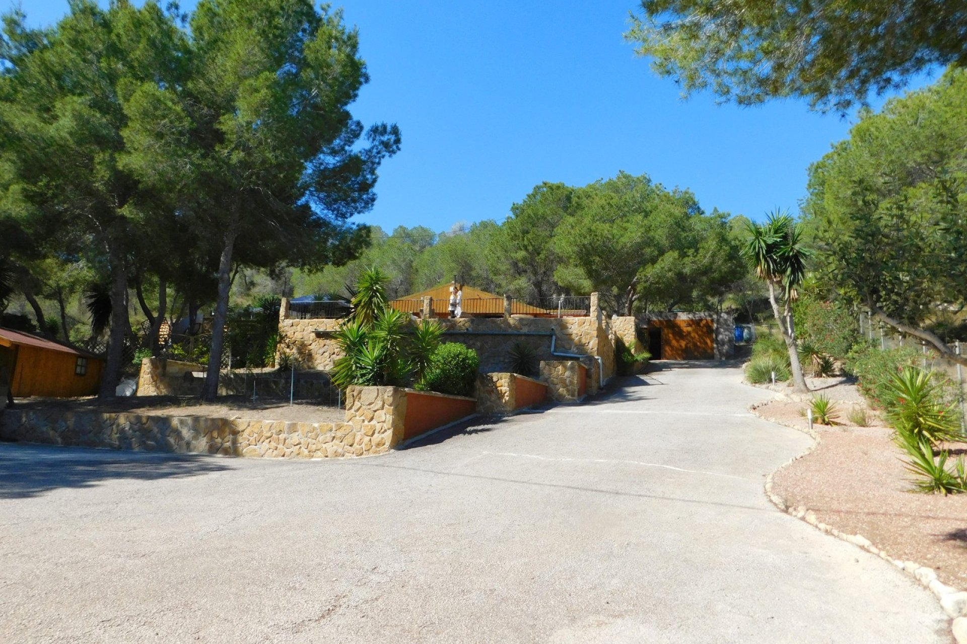 Herverkoop - Finca   -
Torremendo