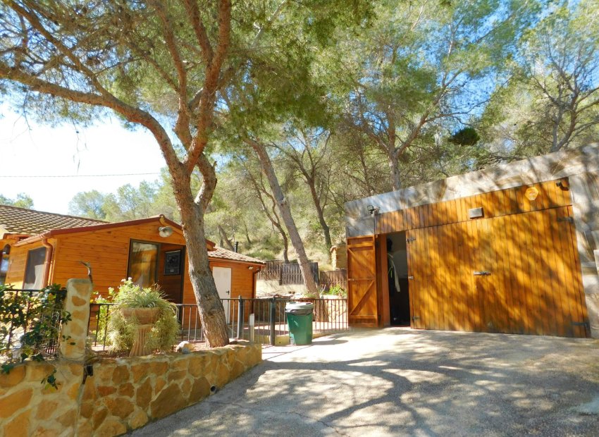 Herverkoop - Finca   -
Torremendo