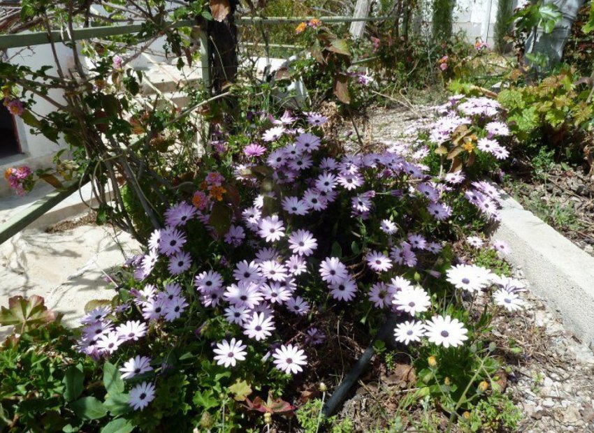 Herverkoop - Geschakelde Villa -
Murcia