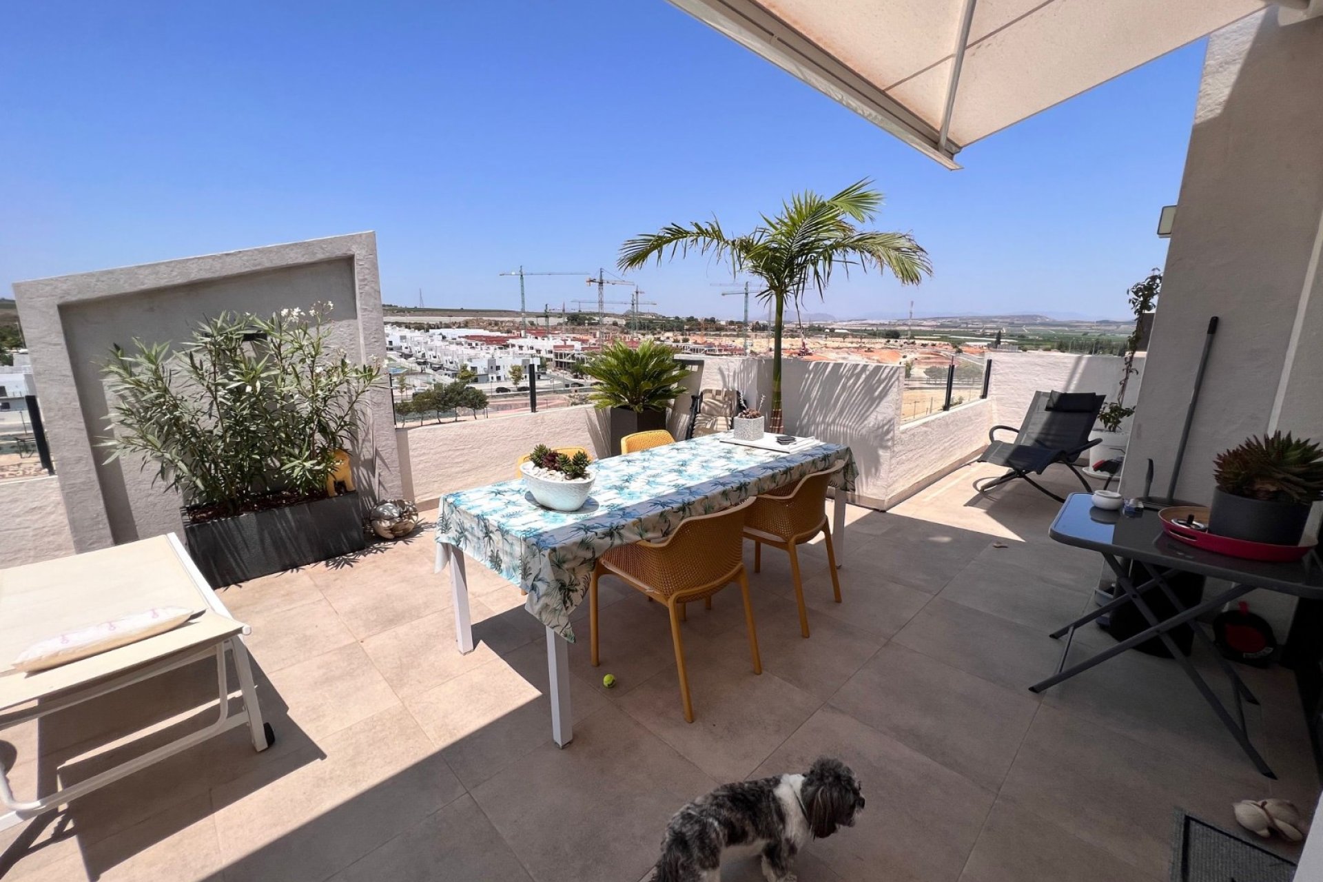 Herverkoop - Penthouse -
San Miguel de Salinas - San Miguel Salinas