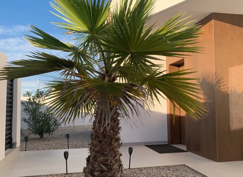 Herverkoop - Vrijstaande woning / Villa -
Ciudad Quesada - Rojales - Rojales