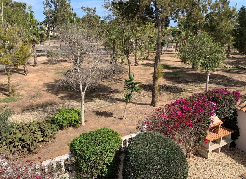 Herverkoop - Vrijstaande woning / Villa -
Guardamar del Segura - El Raso