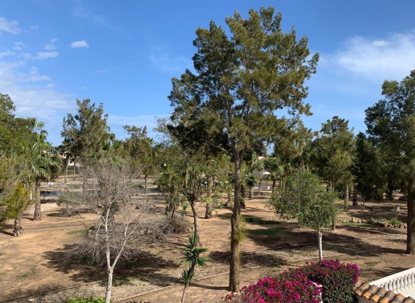 Herverkoop - Vrijstaande woning / Villa -
Guardamar del Segura - El Raso