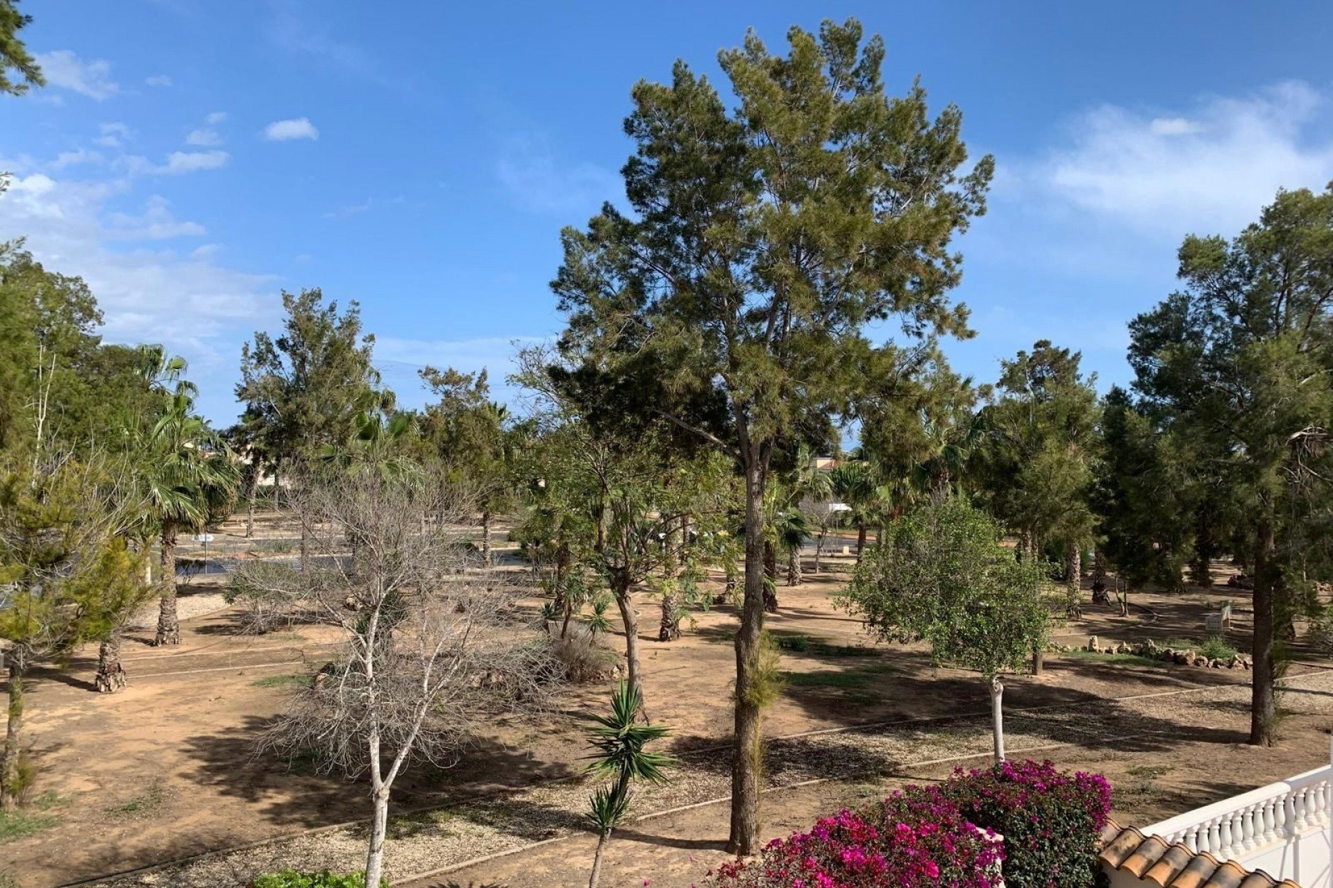 Herverkoop - Vrijstaande woning / Villa -
Guardamar del Segura - El Raso