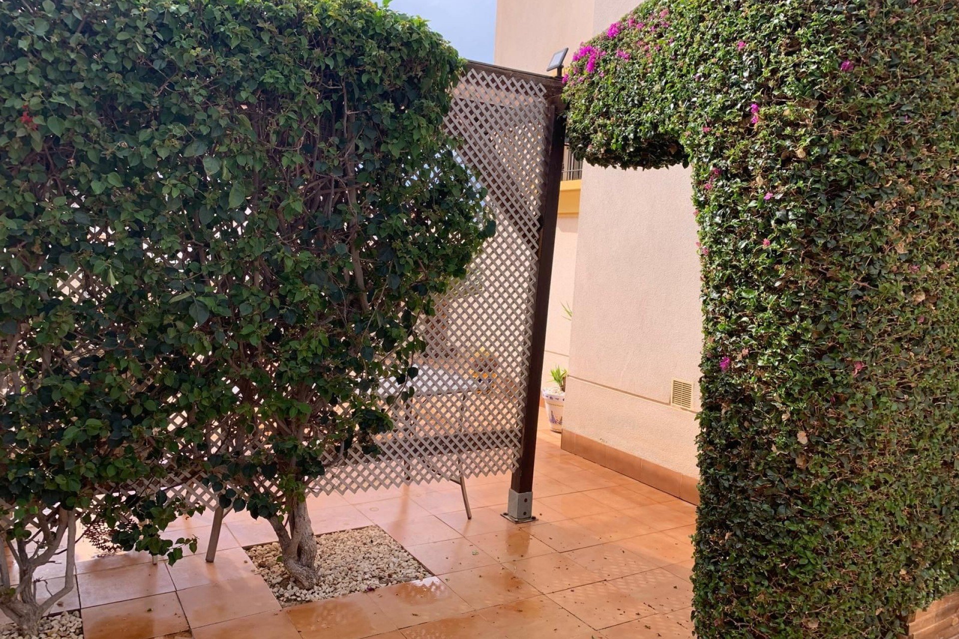 Herverkoop - Vrijstaande woning / Villa -
Guardamar del Segura - El Raso