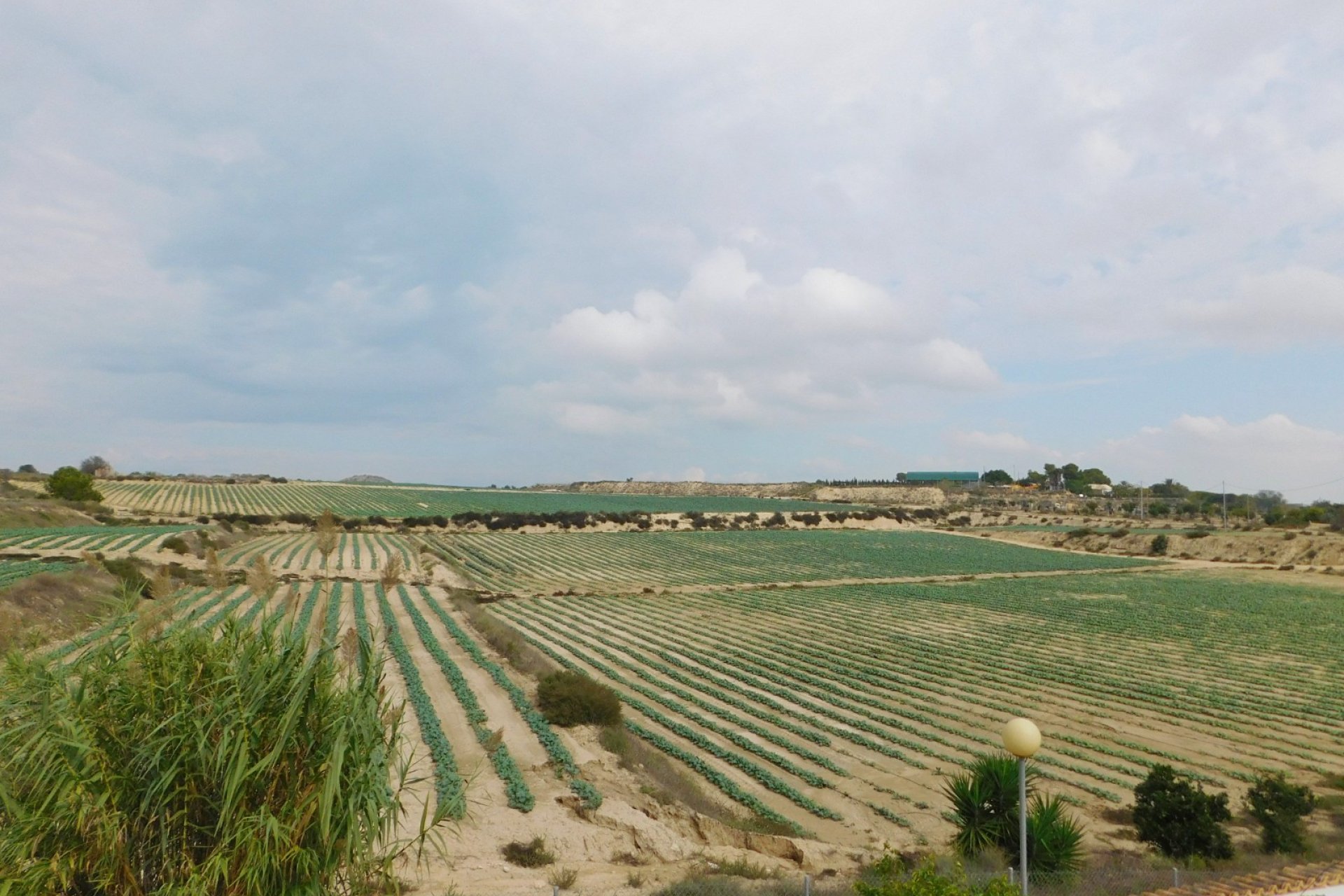 Herverkoop - Vrijstaande woning / Villa -
San Miguel de Salinas - San Miguel Salinas