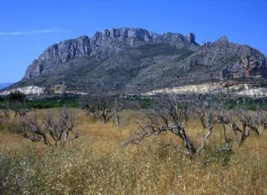 Neue Gebäude - Apartment -
Denia - El Verger