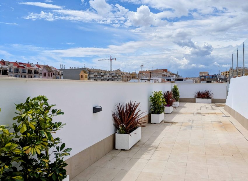 Neue Gebäude - Apartment -
Torrevieja