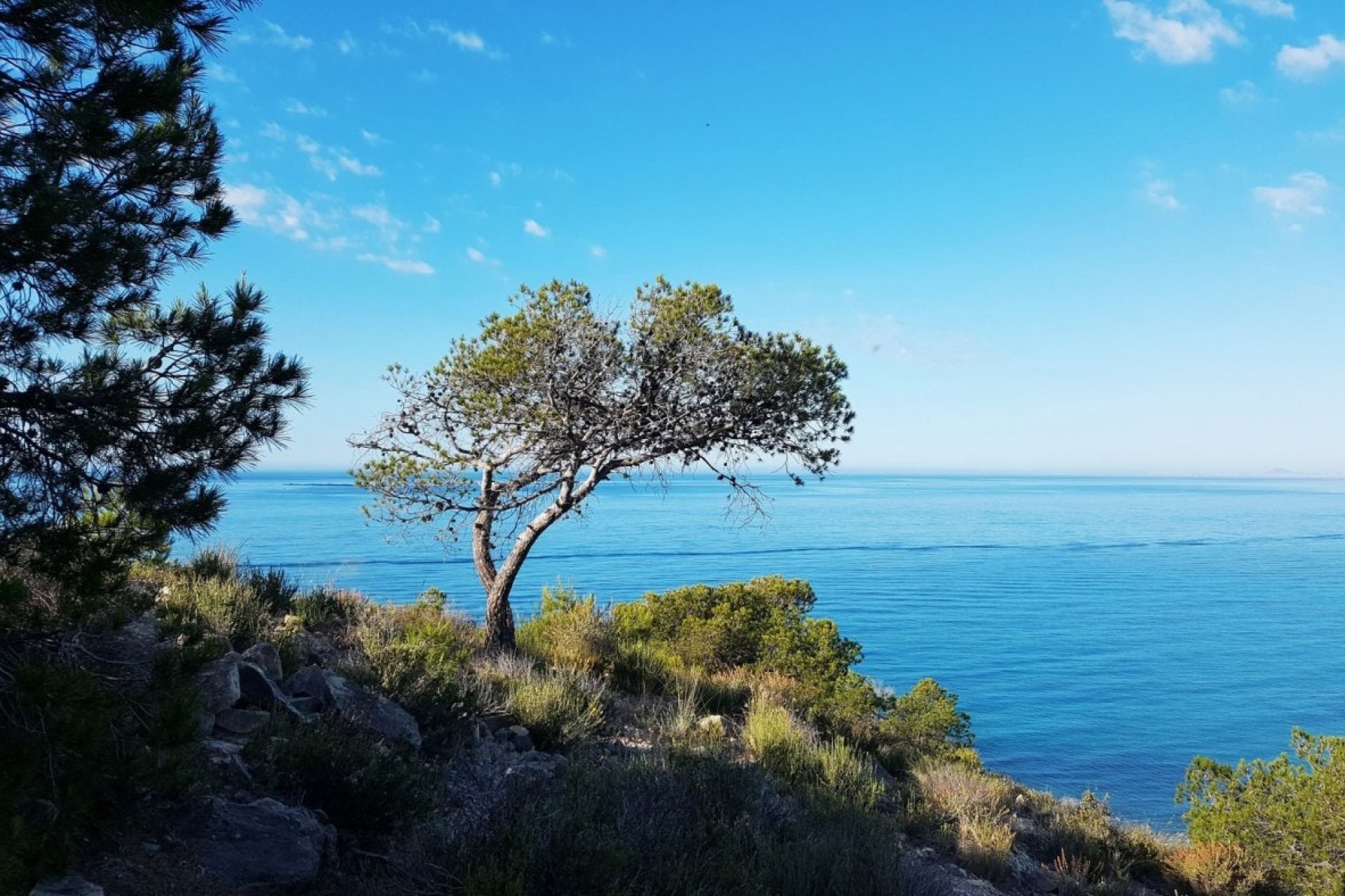 Neue Gebäude - Apartment -
Villajoyosa - Playa Les Torres