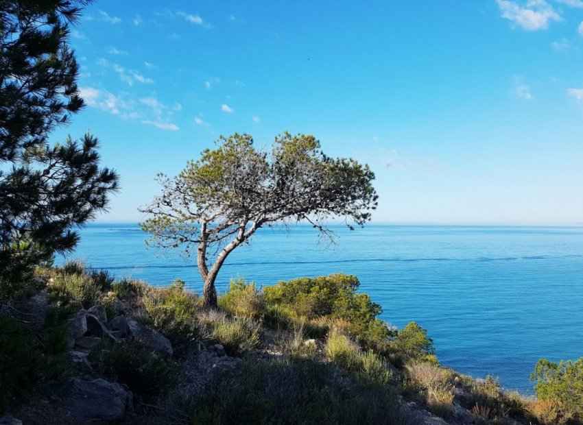 Neue Gebäude - Apartment -
Villajoyosa - Playa Les Torres