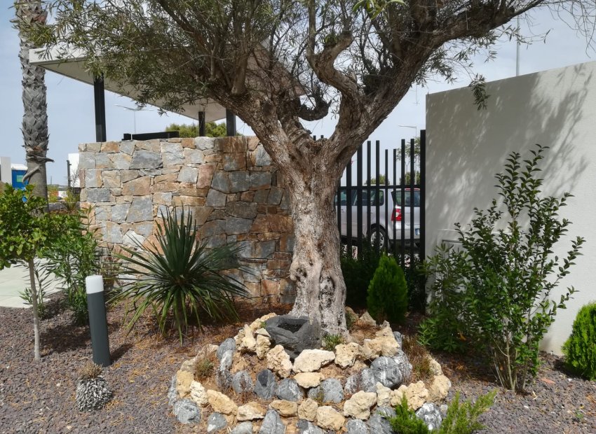Neue Gebäude - Bungalow - Erdgeschosswohnung -
Torrevieja
