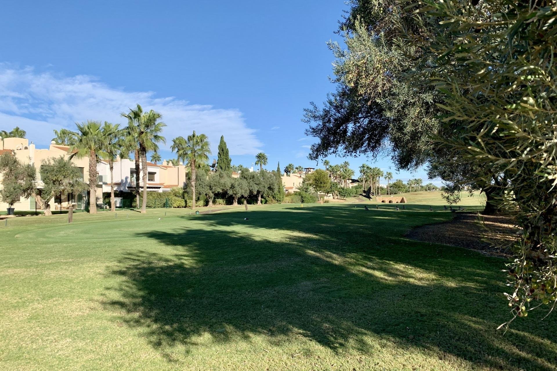 Neue Gebäude - Bungalow -
San Javier - Roda Golf