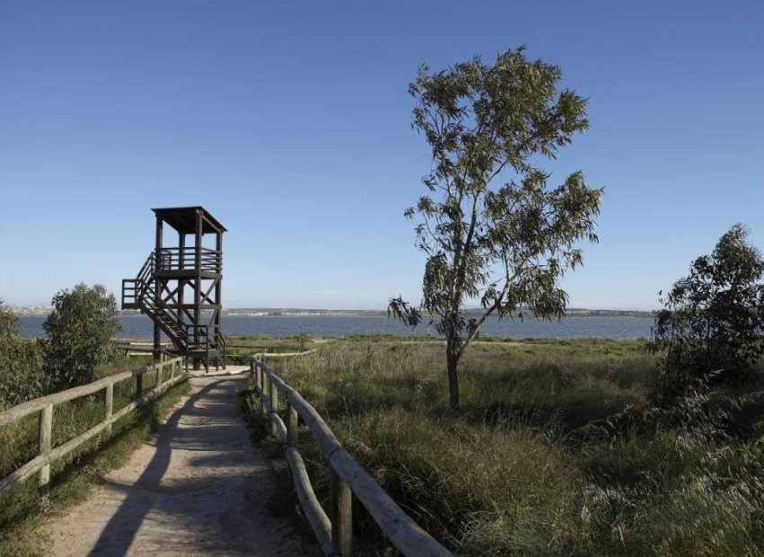 Neue Gebäude - Bungalow -
Torrevieja - Aguas Nuevas